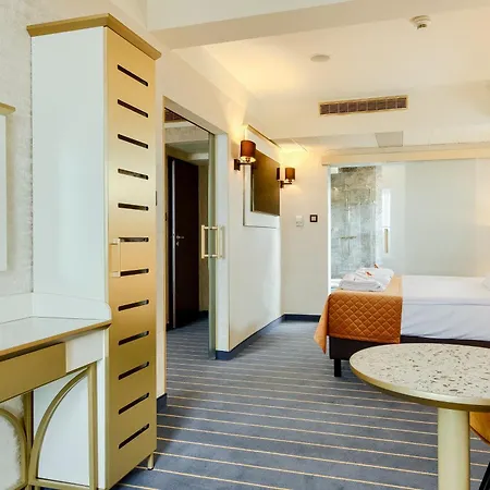 Otel Park Diament 4*