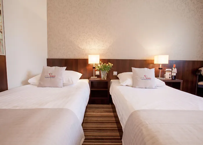 酒店 弗罗茨瓦夫钻石百乐酒店 4*